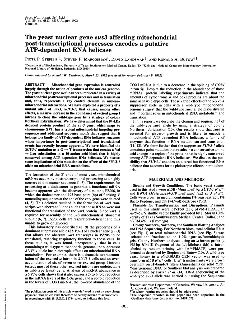 ATP-Dependent RNA Helicase PIOTR P