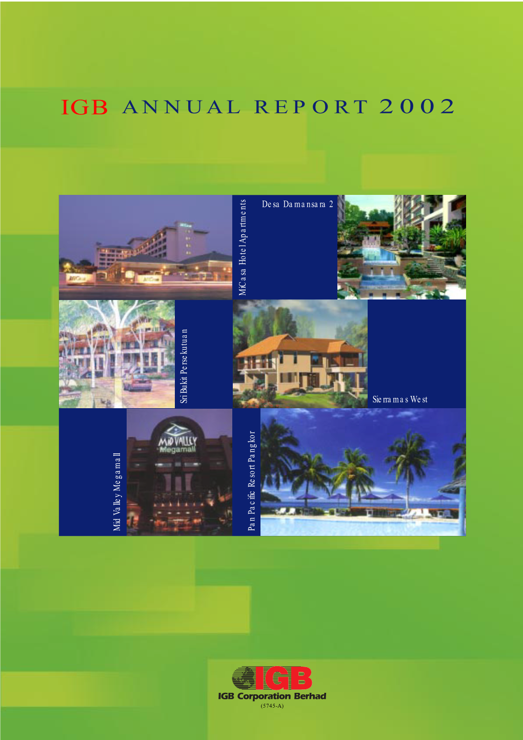 Annual Report 2002