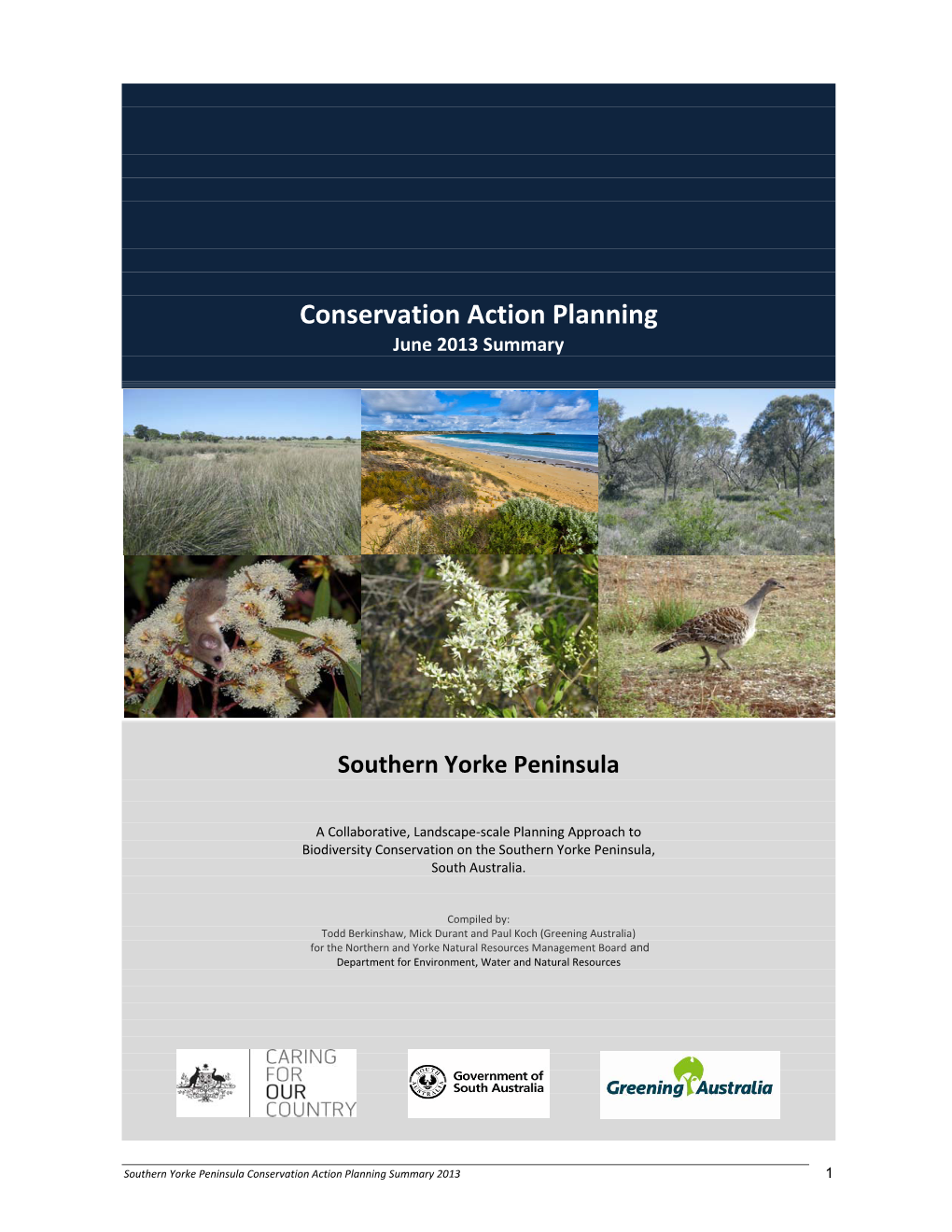 Conservation Action Planning June 2013 Summary