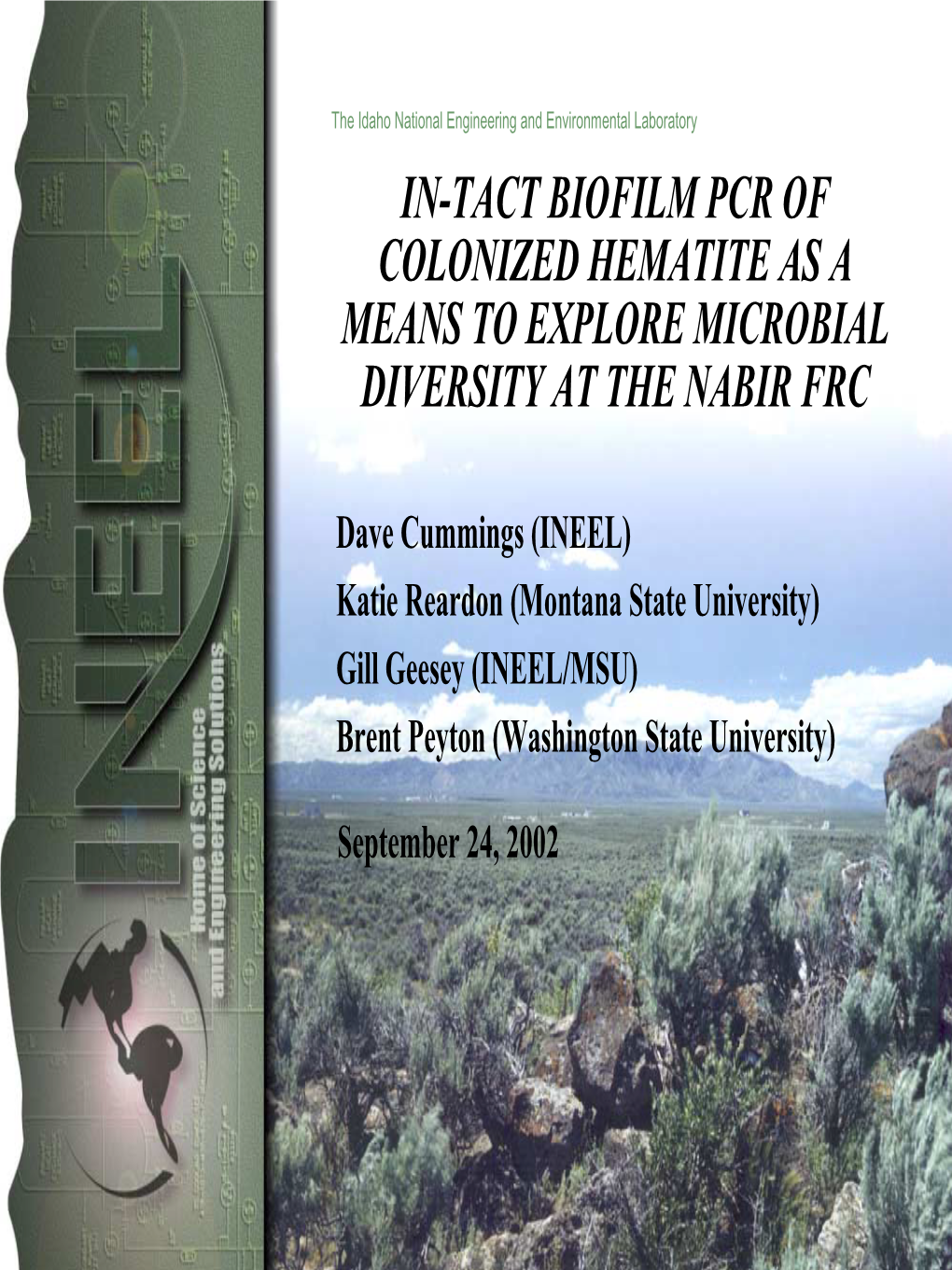 In-Tact Biofilm Pcr of Colonized Hematite As a Means to Explore Microbial Diversity at the Nabir Frc
