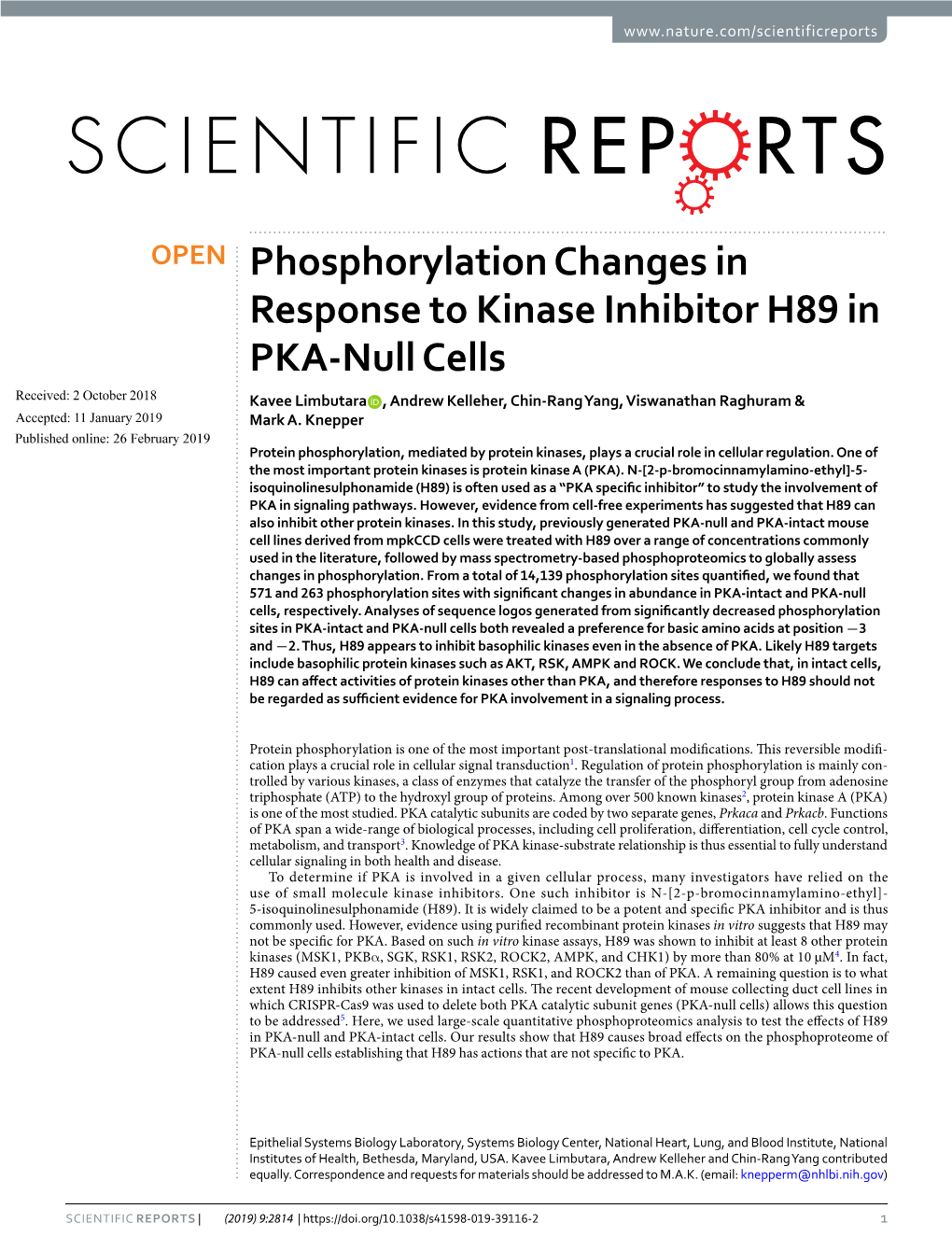 Phosphorylation Changes in Response to Kinase Inhibitor H89