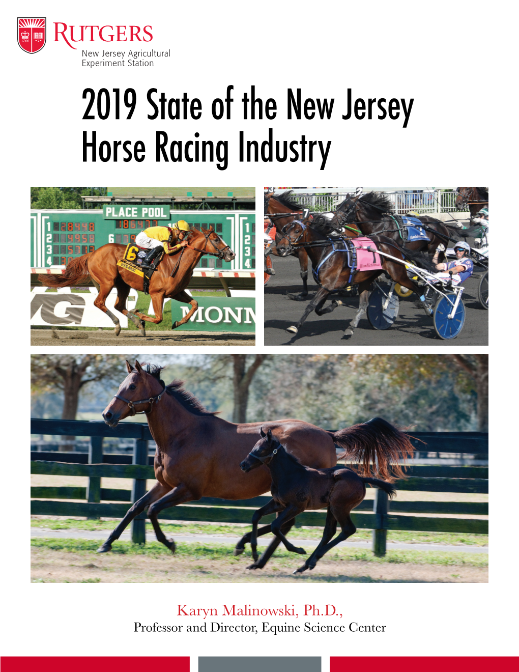 2019 State of the New Jersey Horse Racing Industry