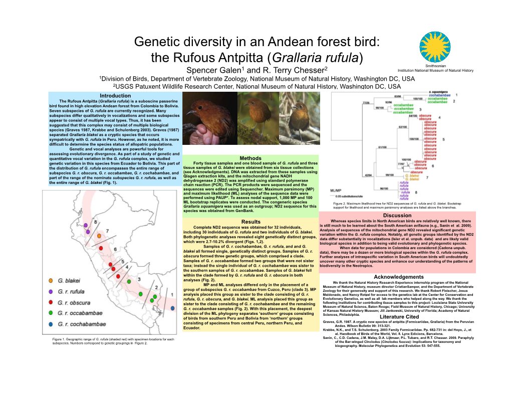 Genetic Diversity in an Andean Forest Bird: the Rufous Antpitta (Grallaria Rufula) Smithsonian Spencer Galen1 and R