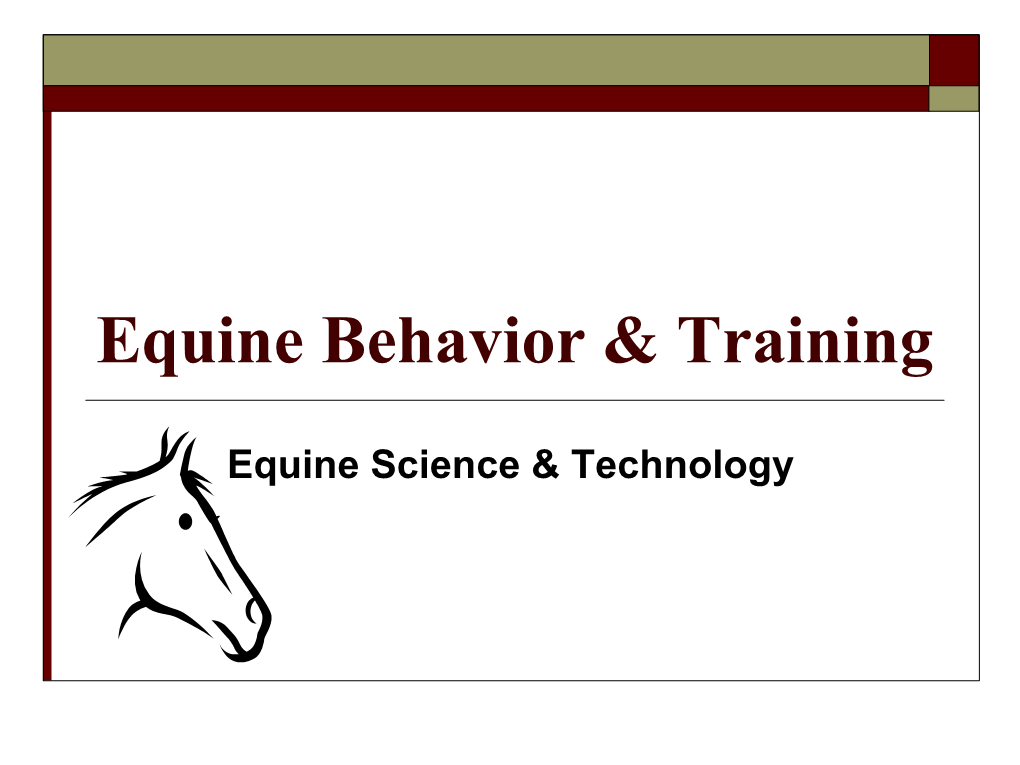 Equine Behavior & Training