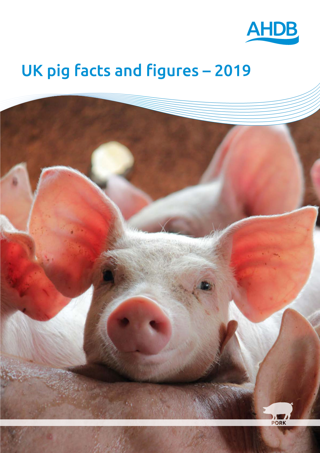 UK Pig Facts and Figures – 2019