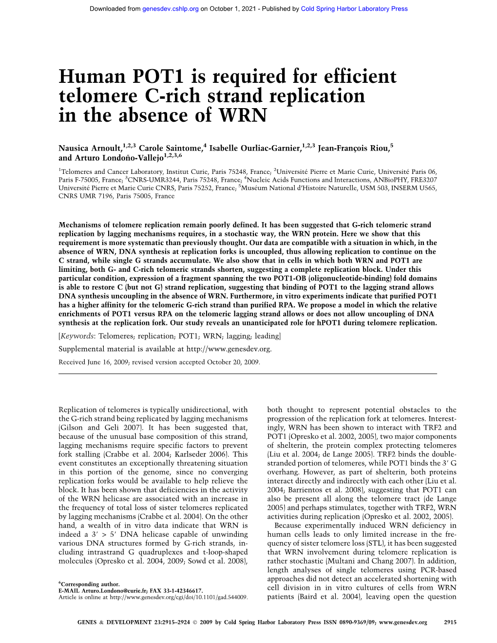 Human POT1 Is Required for Efficient Telomere C-Rich Strand Replication in the Absence of WRN