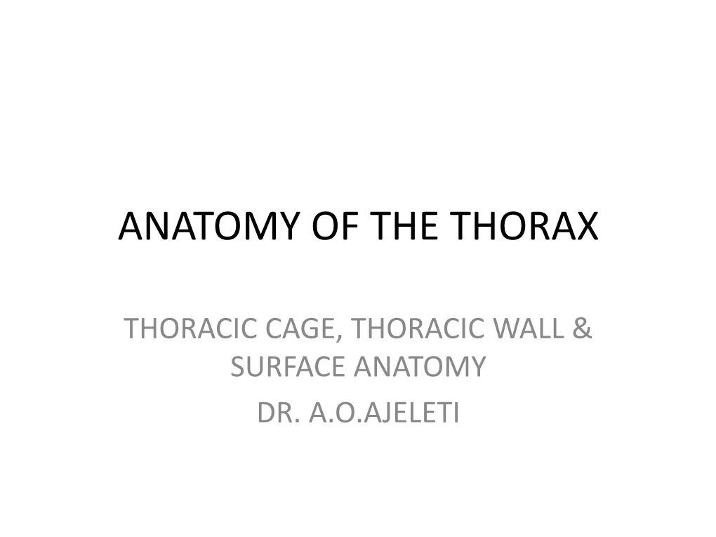 Anatomy of the Thorax