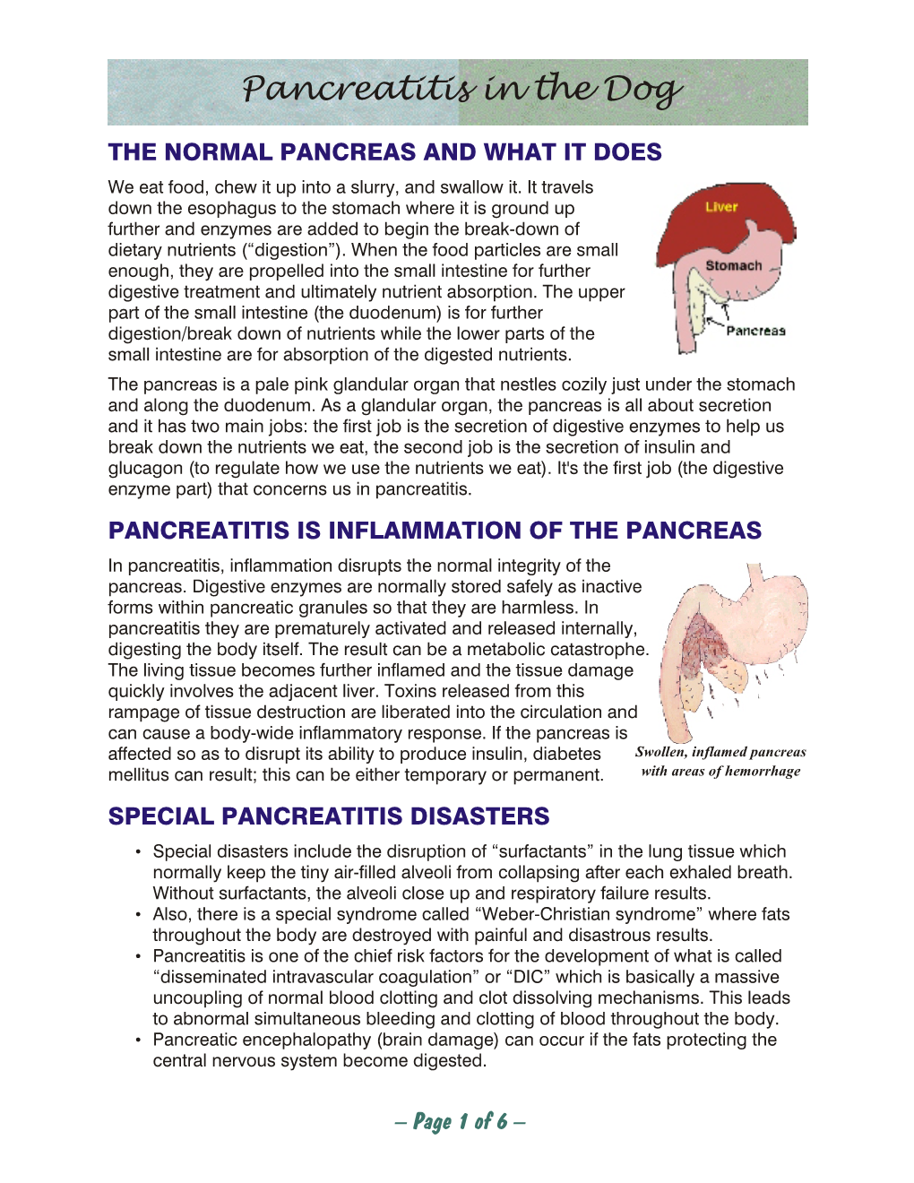 Pancreatitis in the Dog.Vp