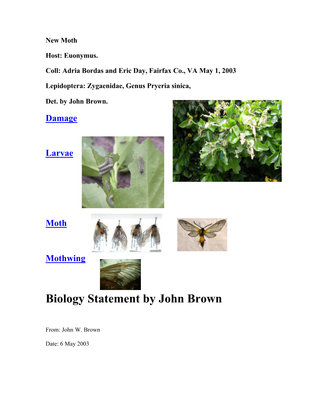 Biology Statement by John Brown