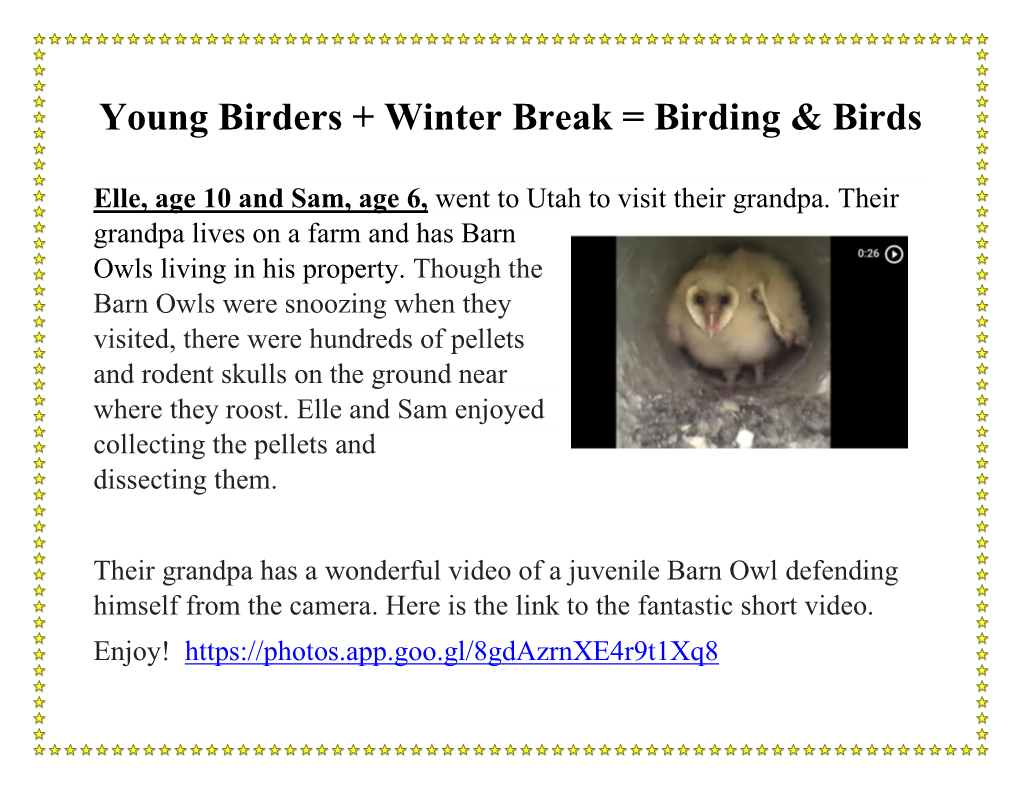 Young Birders + Winter Break = Birding & Birds