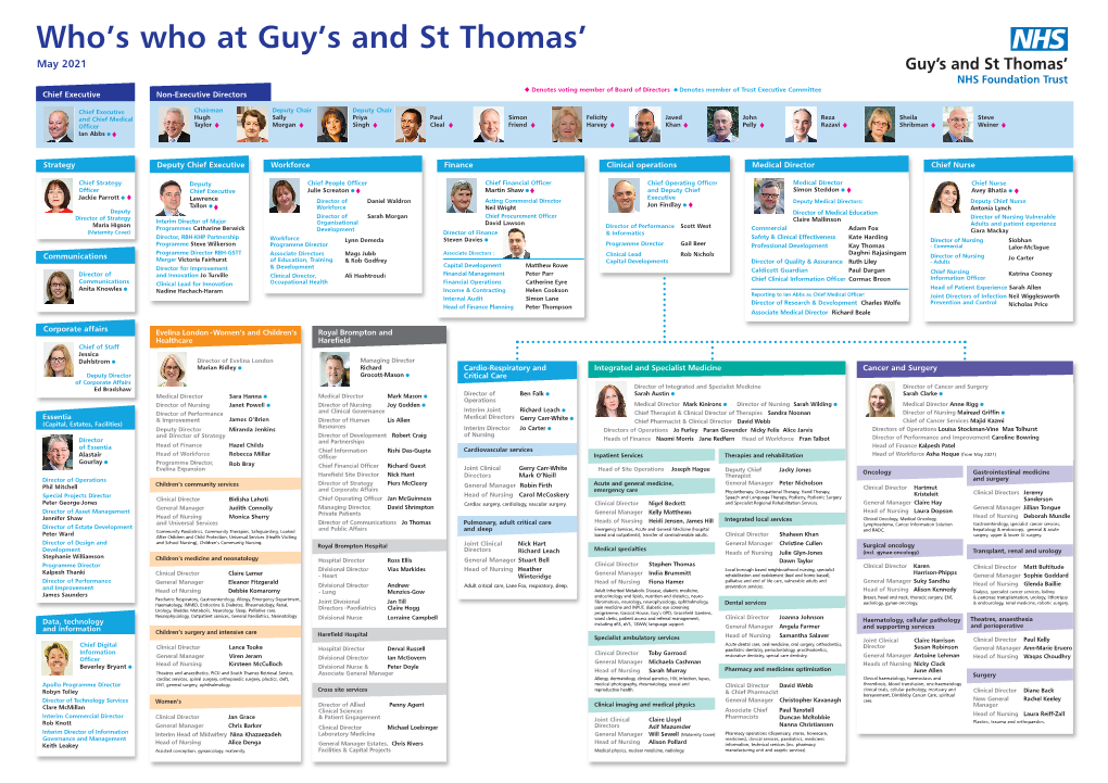 Who's Who at Guy's and St Thomas'