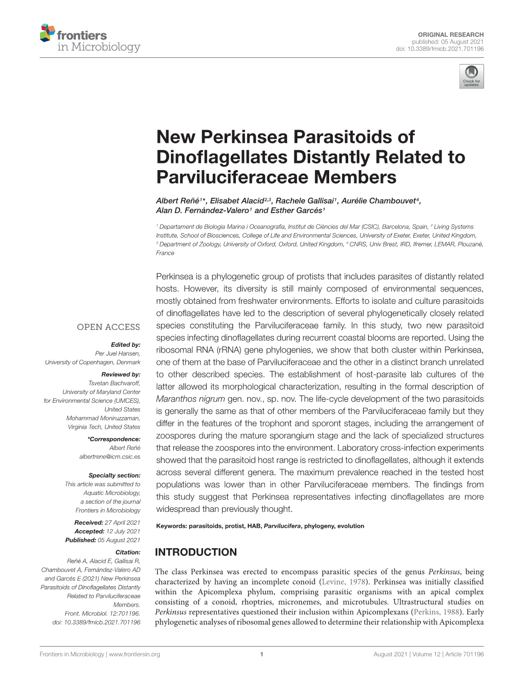 New Perkinsea Parasitoids of Dinoflagellates Distantly Related To
