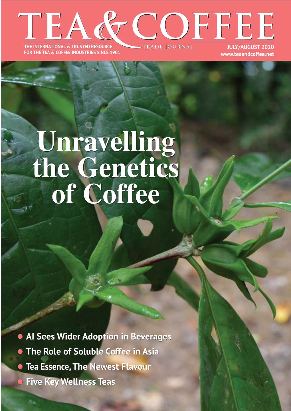 Unravelling the Genetics of Coffee Editorial Director Sarah Mcritchie by Anne-Marie Hardie Sarah@Bellpublishing.Com