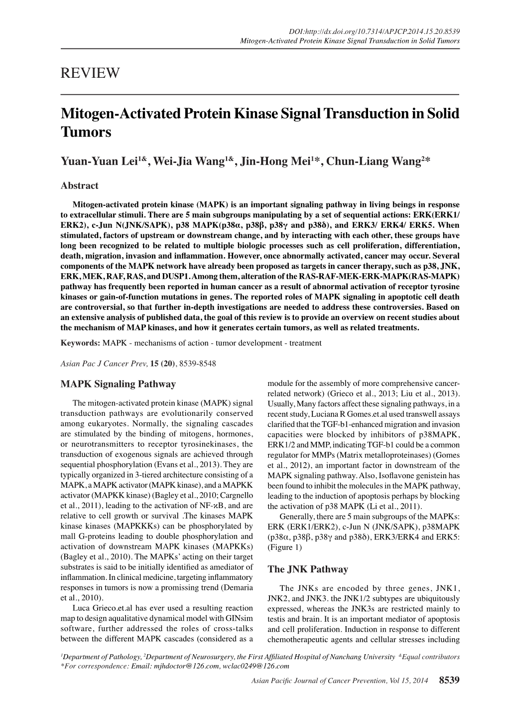 REVIEW Mitogen-Activated Protein Kinase Signal Transduction in Solid
