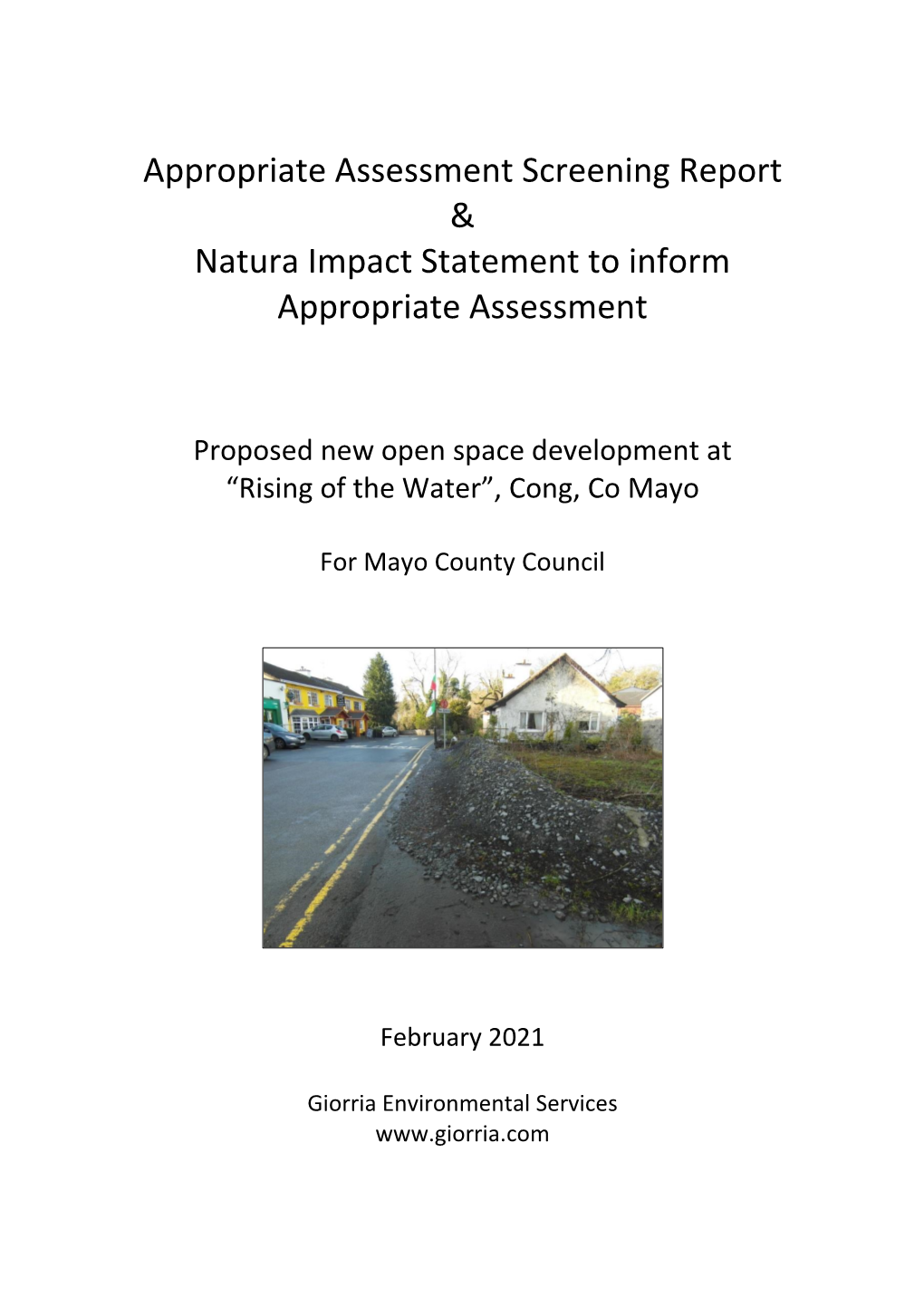 Natura Impact Statement (NIS)
