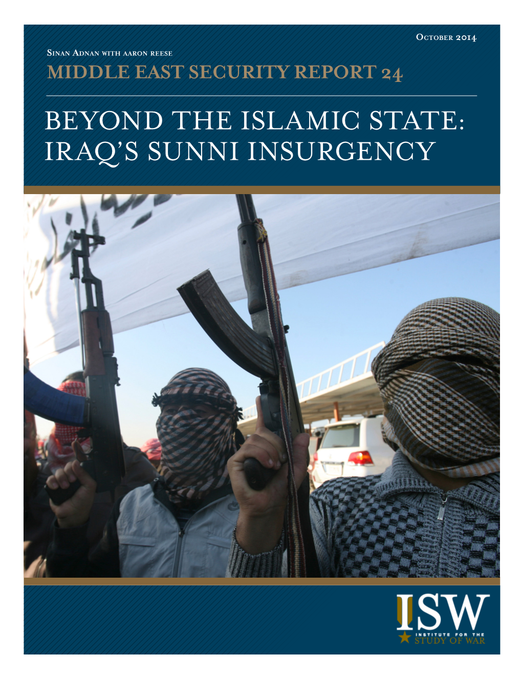 Beyond the Islamic State: Iraq's Sunni Insurgency