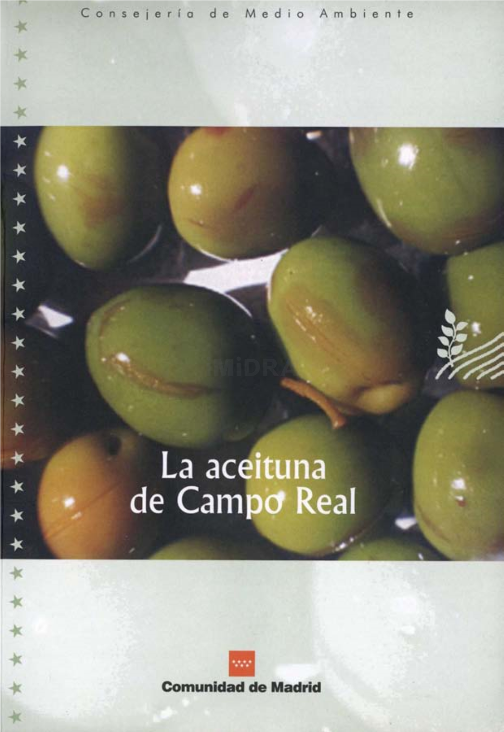 BVCM003152. La Aceituna De Campo Real