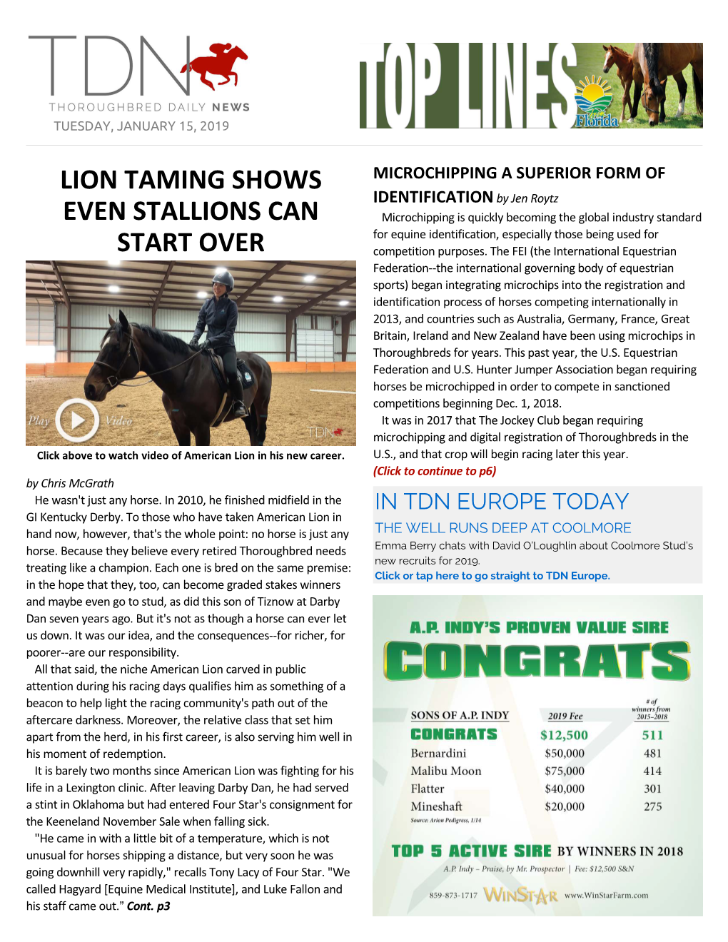 Lion Taming Shows Even Stallions Can Start Over