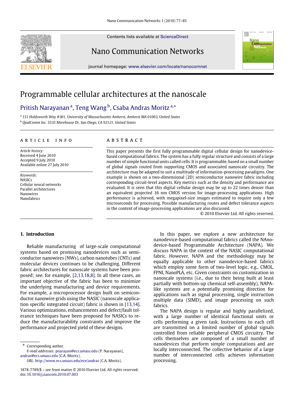 Programmable Cellular Architectures at the Nanoscale