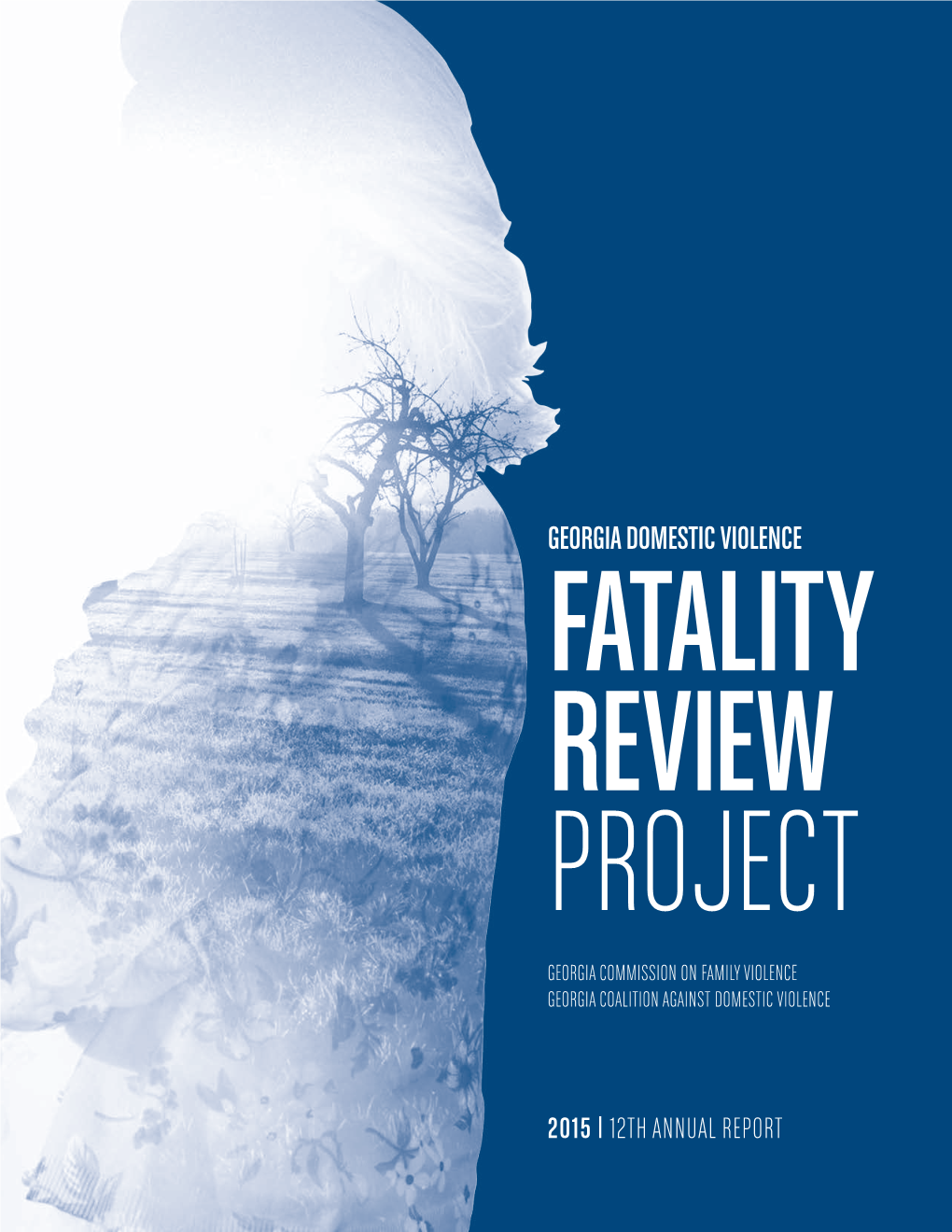 Georgia Domestic Violence Fatality Review Project Who Survived