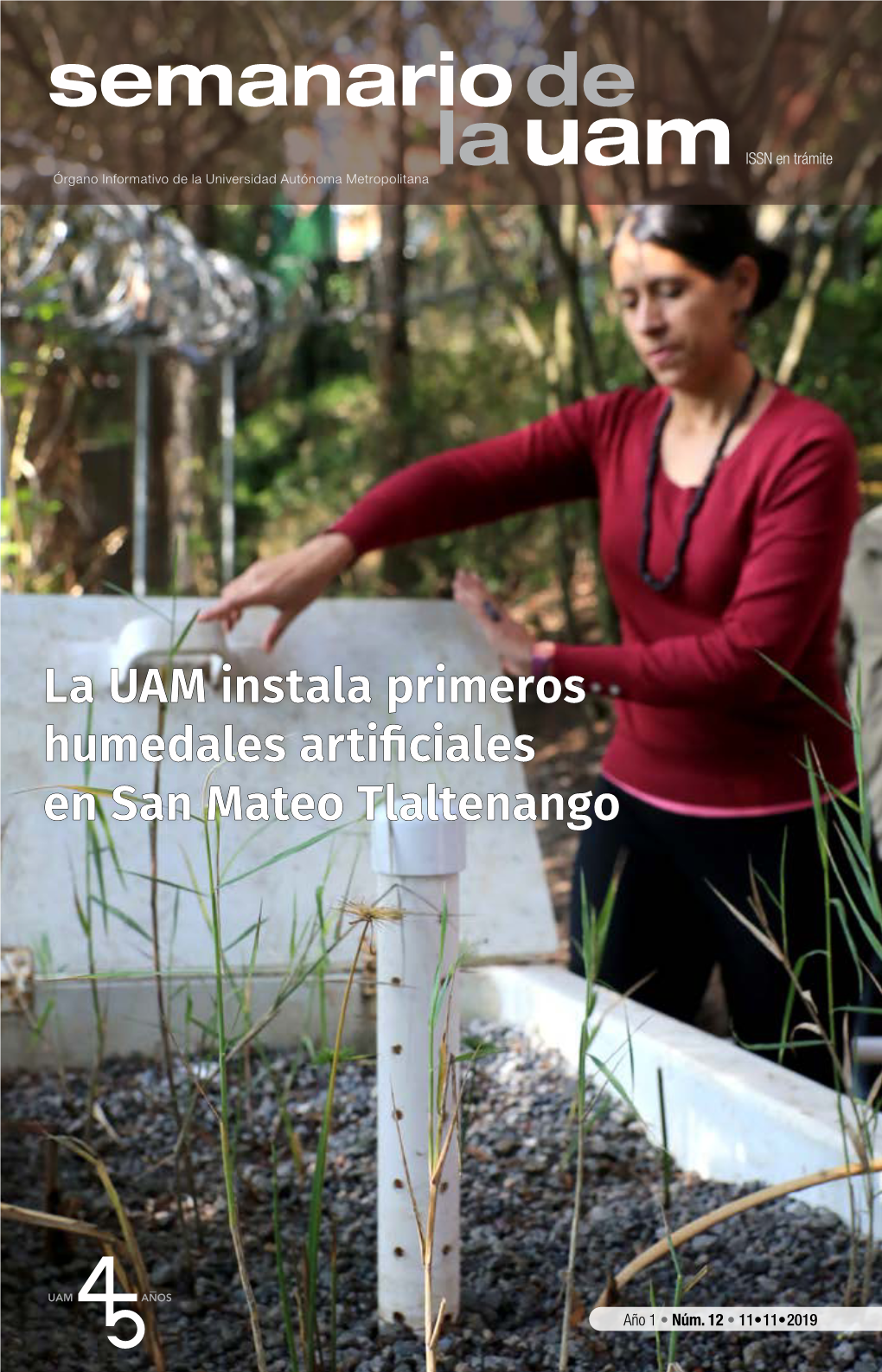 La UAM Instala Primeros Humedales Artificiales En San Mateo Tlaltenango