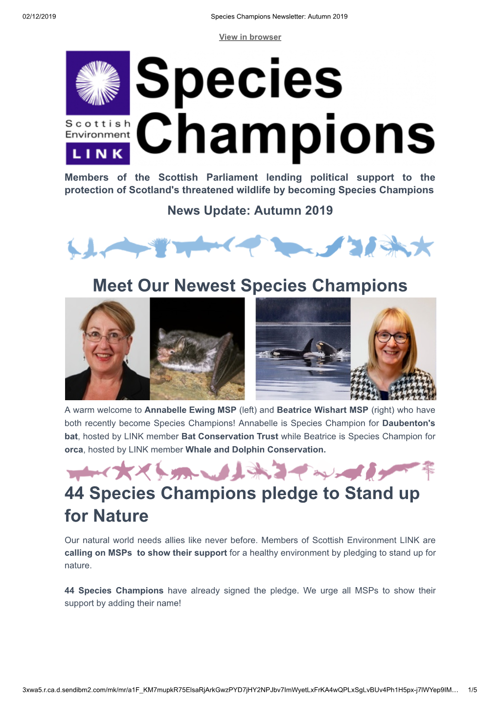Species Champion Autumn 2019 Newsletter