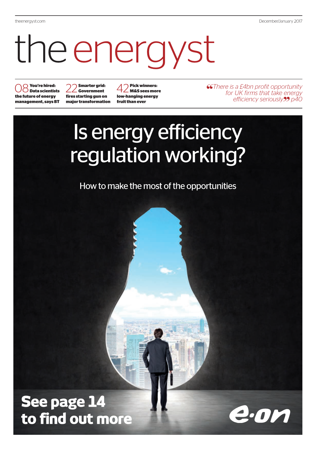 Is Energy Efficiency Regulation Working?