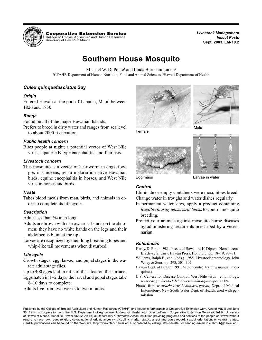 Southern House Mosquito Michael W