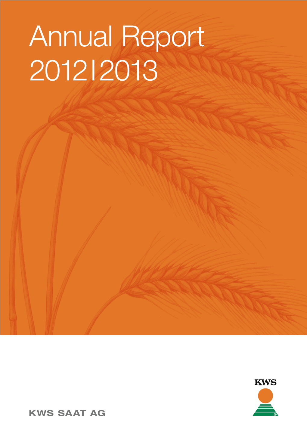 Annual Report 2012 I 2013