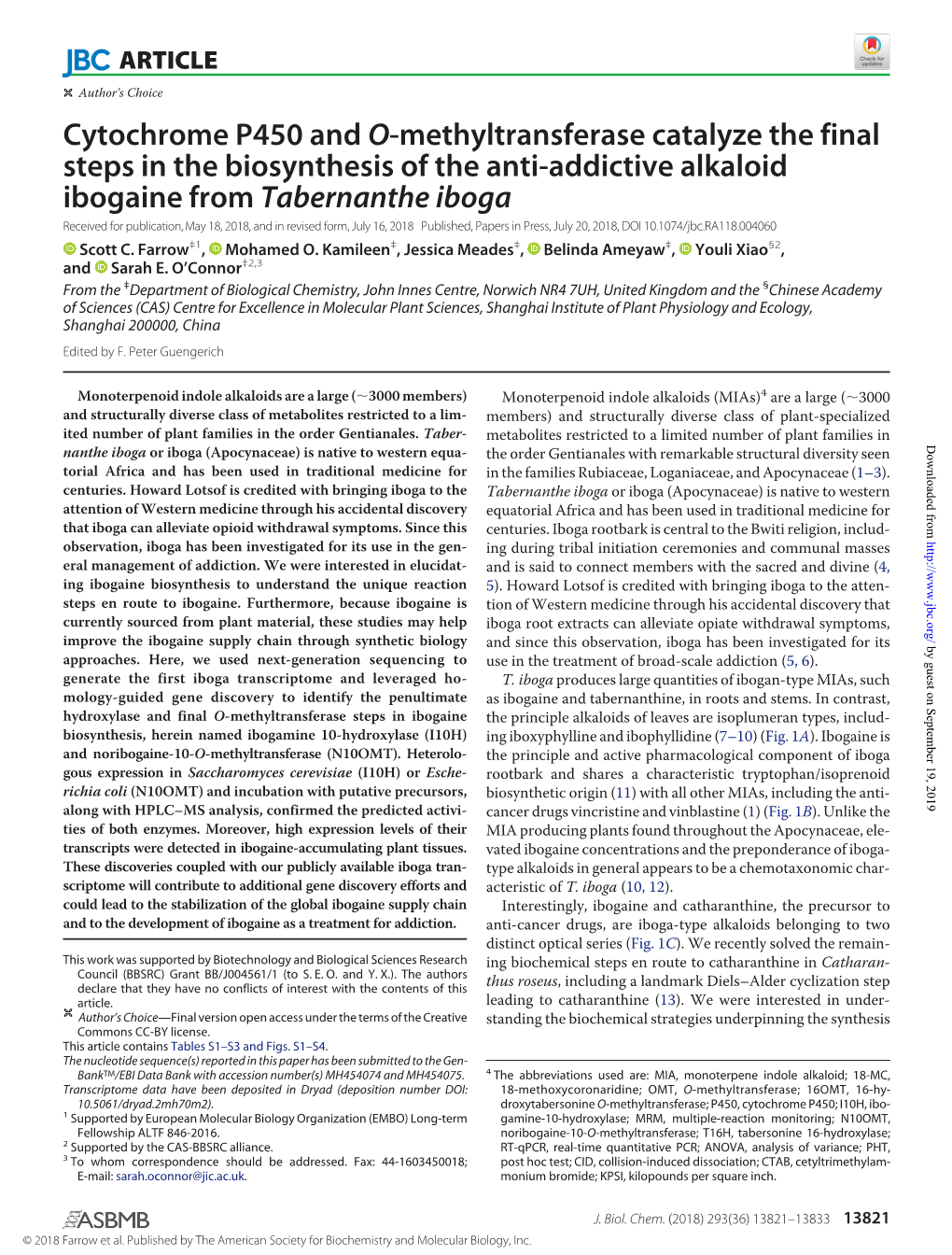 Cytochrome P450 and O-Methyltransferase Catalyze