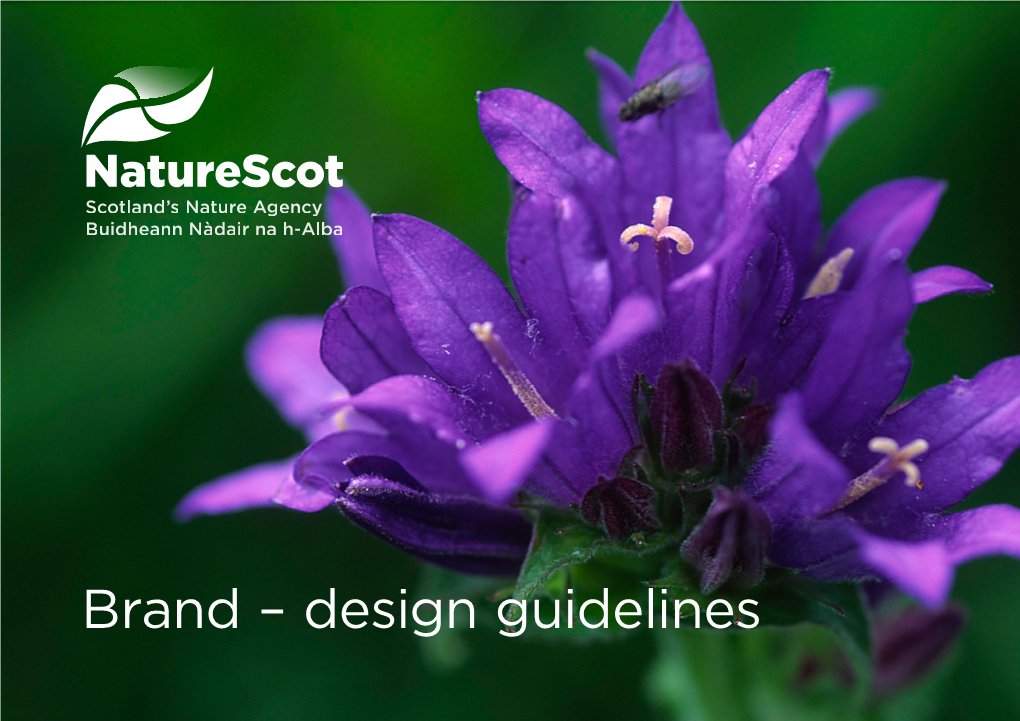 Naturescot Brand Design Guidelines for Intranet