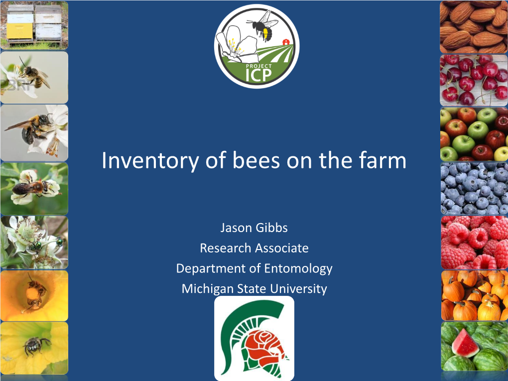 Inventory of Bees on the Farm