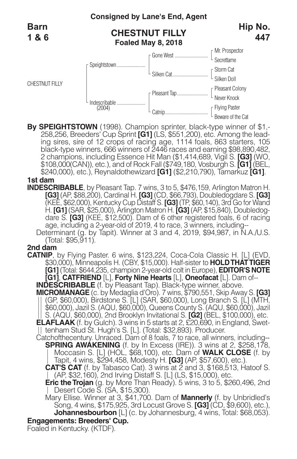 CHESTNUT FILLY Barn 1 & 6 Hip No