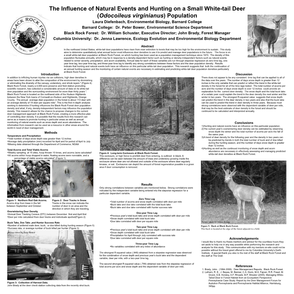 The Influence of Natural Events and Hunting on a Small White-Tail Deer (Odocoileus Virginianus) Population