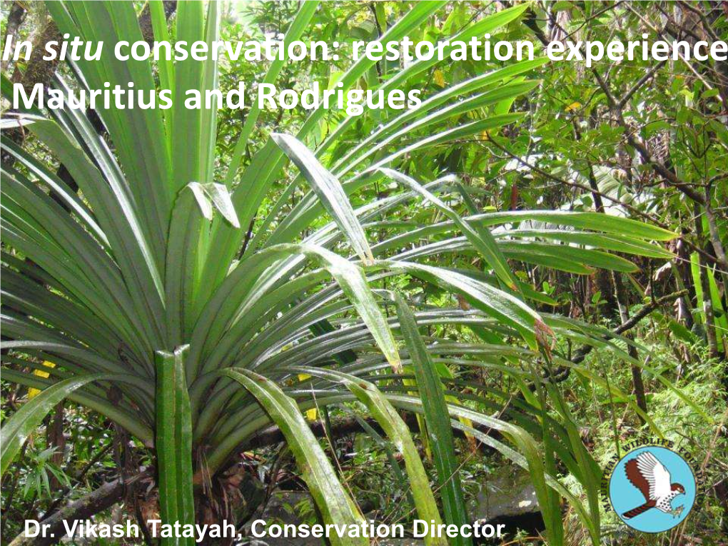 In Situ Conservation: Restoration Experience from Mauritius and Rodrigues