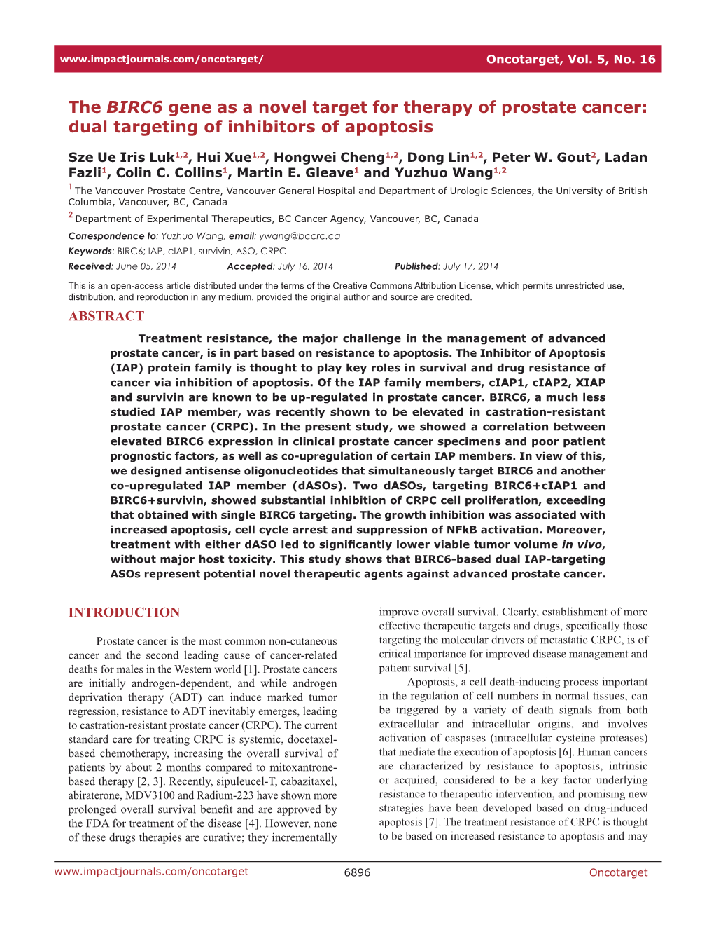 The BIRC6 Gene As a Novel Target for Therapy of Prostate Cancer: Dual Targeting of Inhibitors of Apoptosis