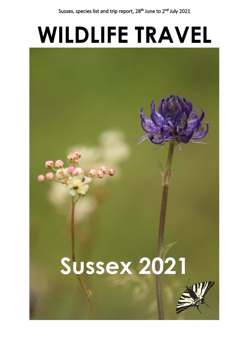 Wildlife Travel Sussex June 2021