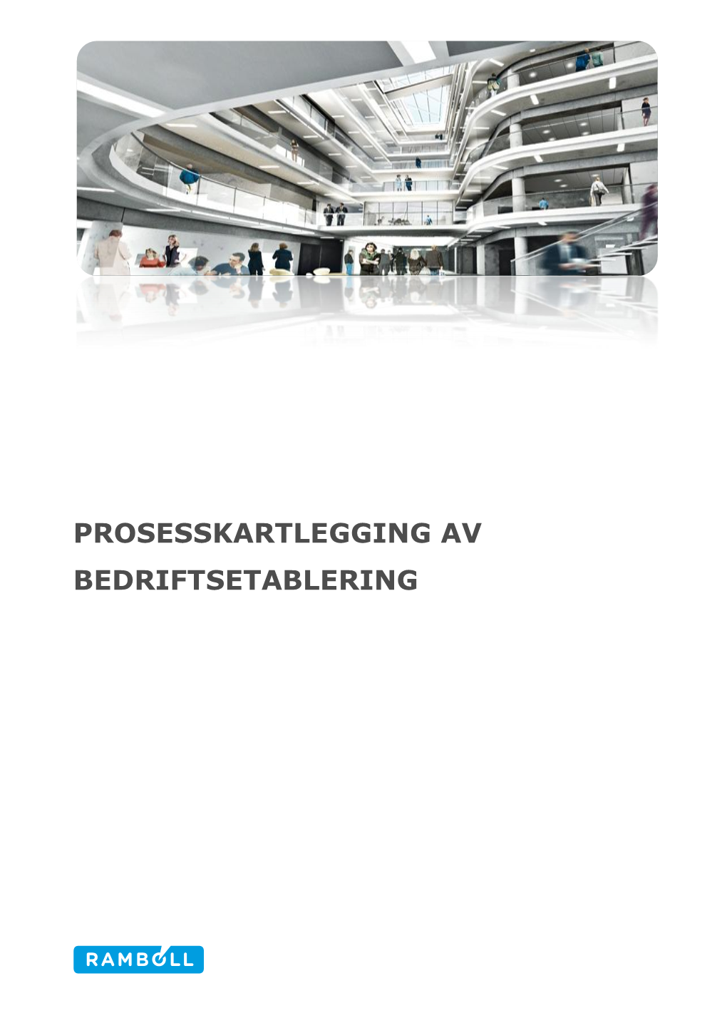 Prosesskartlegging Av Bedriftsetablering