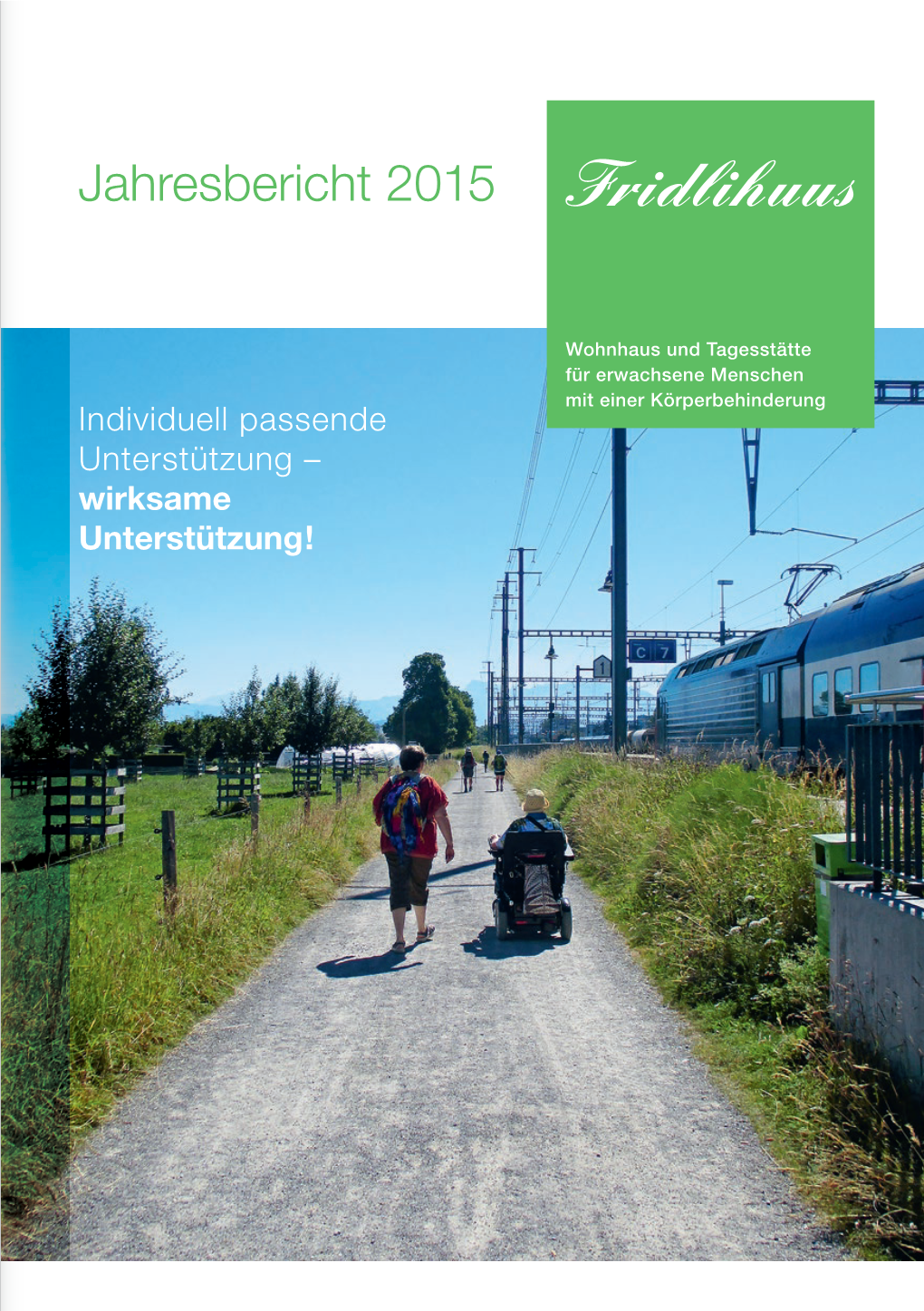 Jahresbericht 2015 Fridlihuus