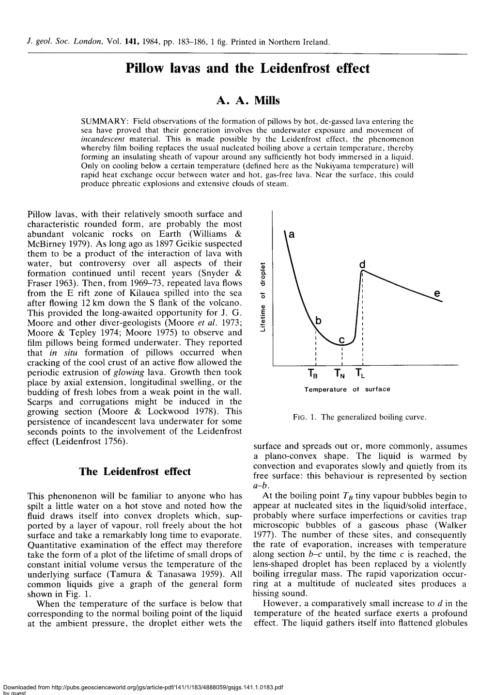 Pillow Lavas and the Leidenfrost Effect