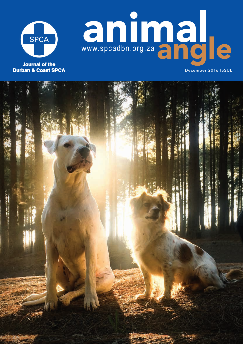 Animalangle2016.Pdf