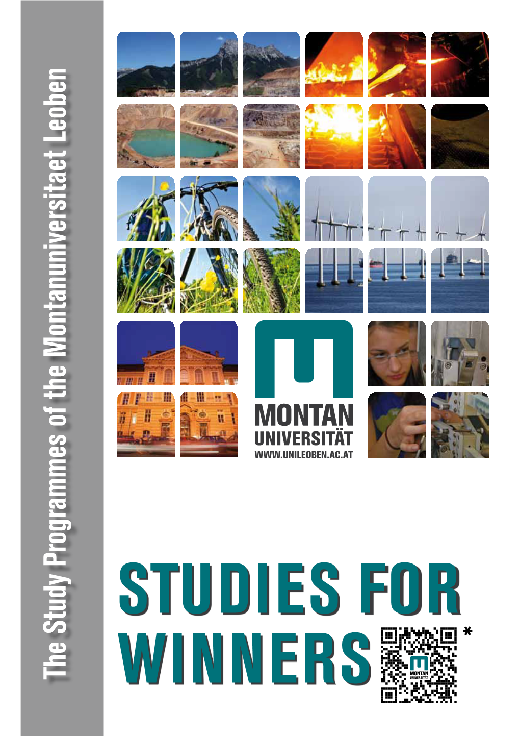 The Study Programmes of the Montanuniversitaet Leoben