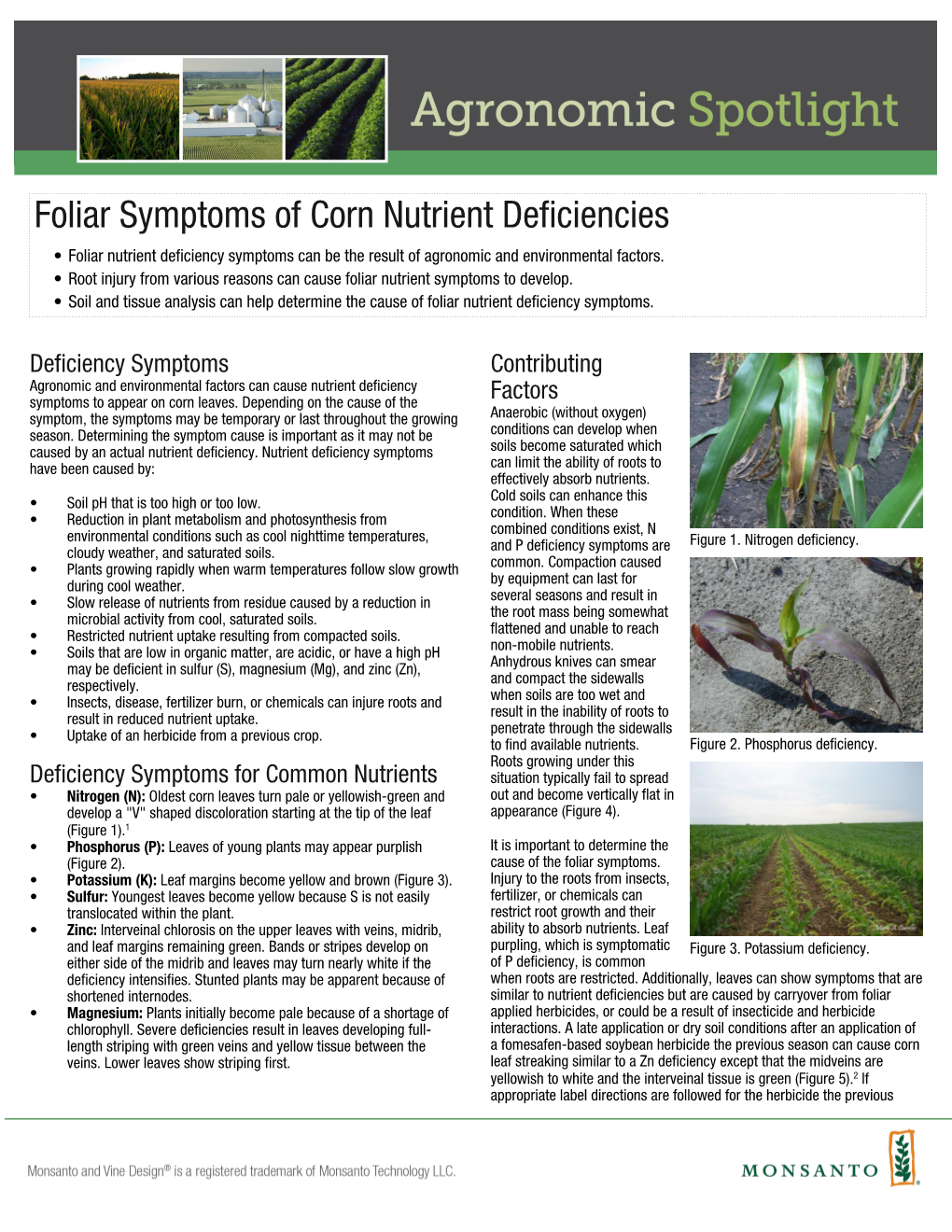 Foliar Symptoms of Corn Nutrient Deficiencies • Foliar Nutrient Deficiency Symptoms Can Be the Result of Agronomic and Environmental Factors