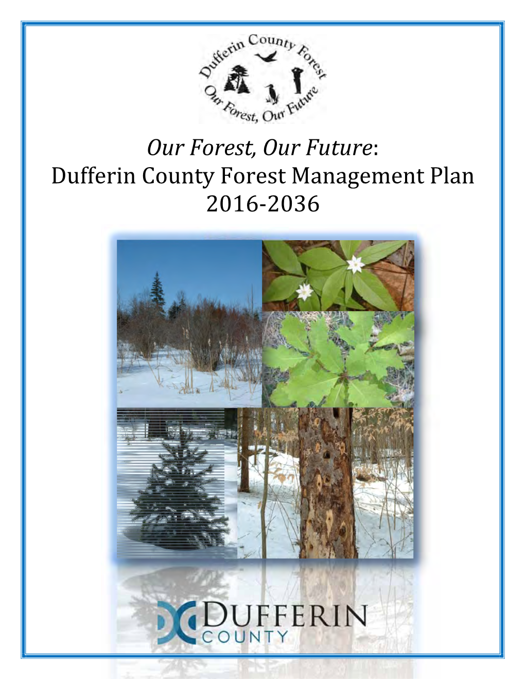 Dufferin County Forest Management Plan 2016-2036