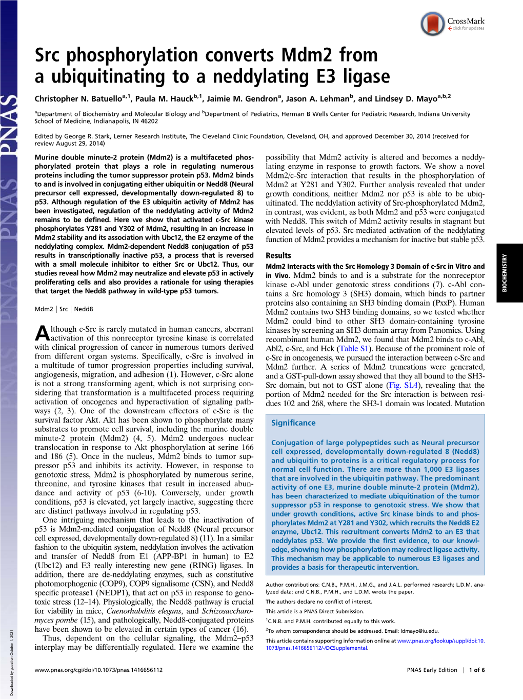 Src Phosphorylation Converts Mdm2 from a Ubiquitinating to a Neddylating E3 Ligase