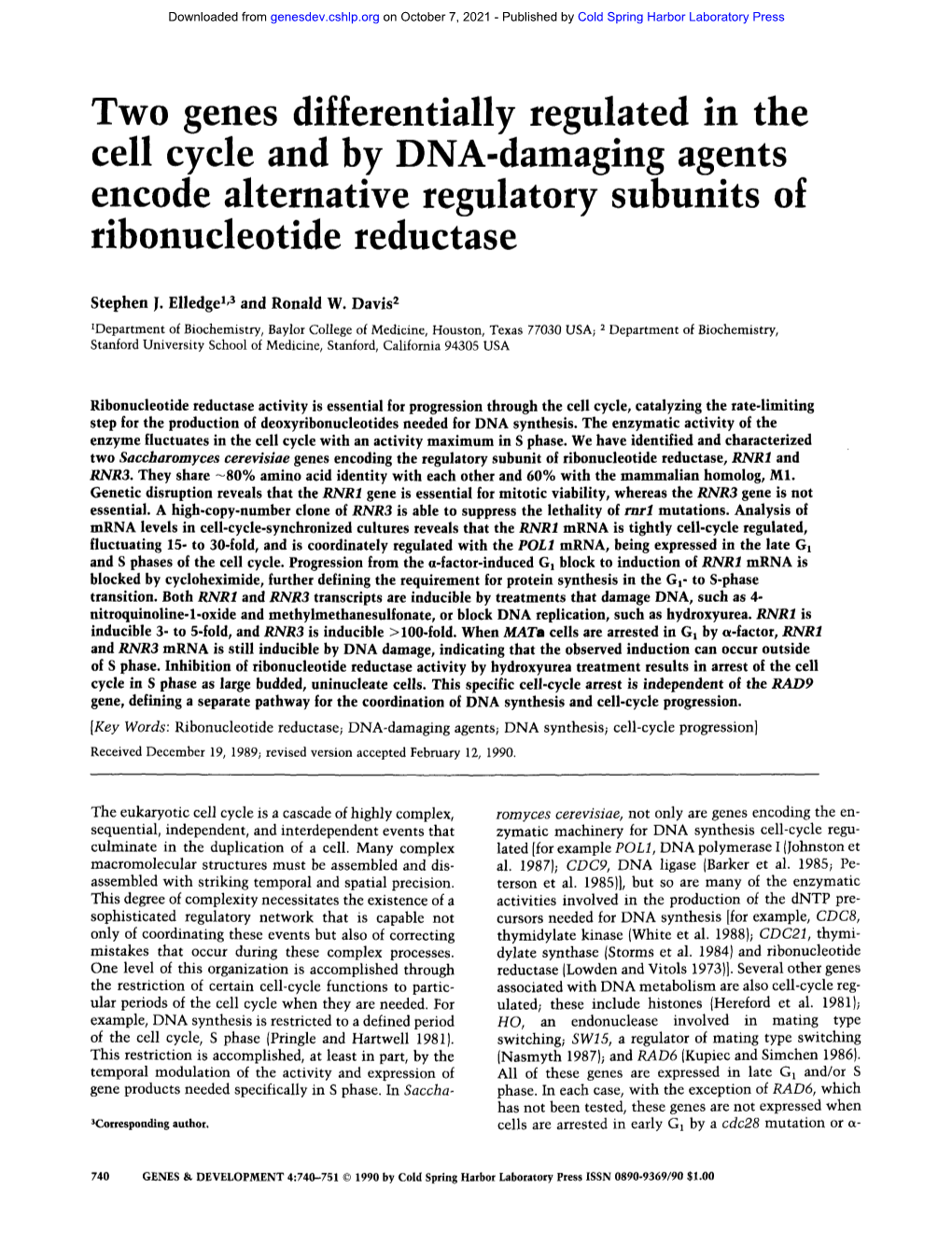 Two Genes Differentially Regulated in the Cell Cycle and by DNA-Damaging Agents Encode Alternative Regulatory Subunits of Ribonucleotide Reductase