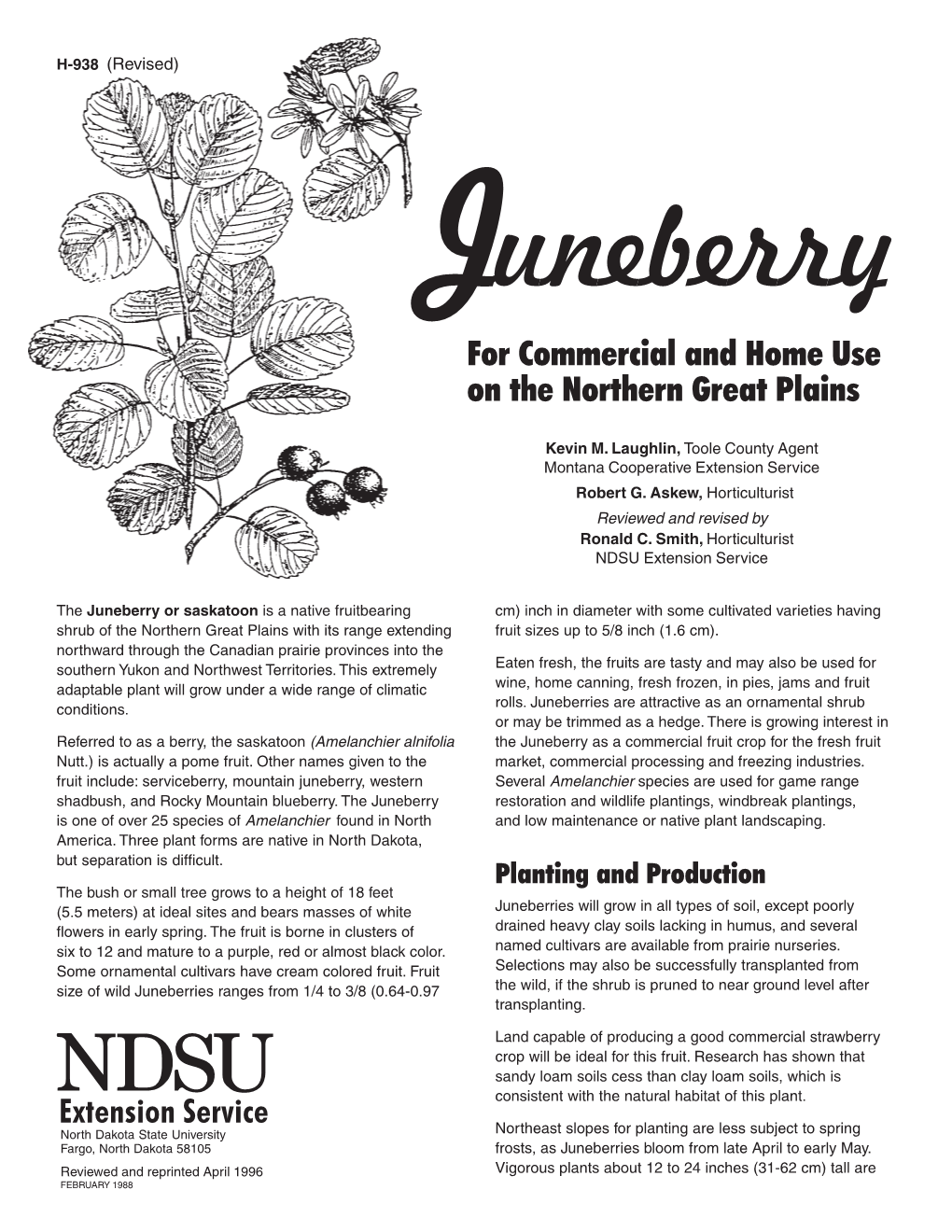 H-938 Juneberry for Commercial and Home Use on the Northern Great