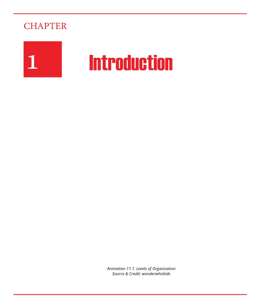 1 Introduction