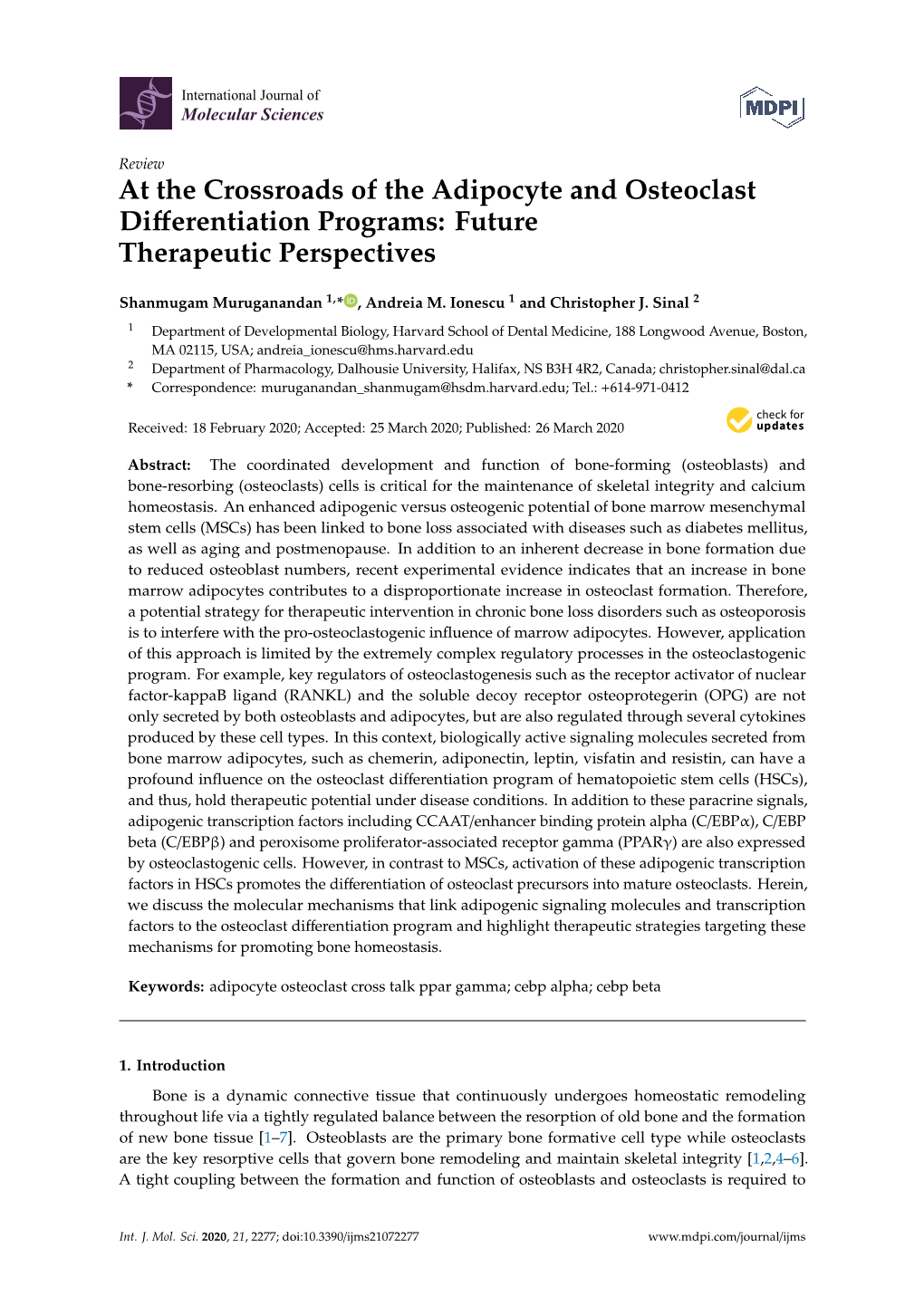 At the Crossroads of the Adipocyte and Osteoclast Differentiation Programs: Future Therapeutic Perspectives