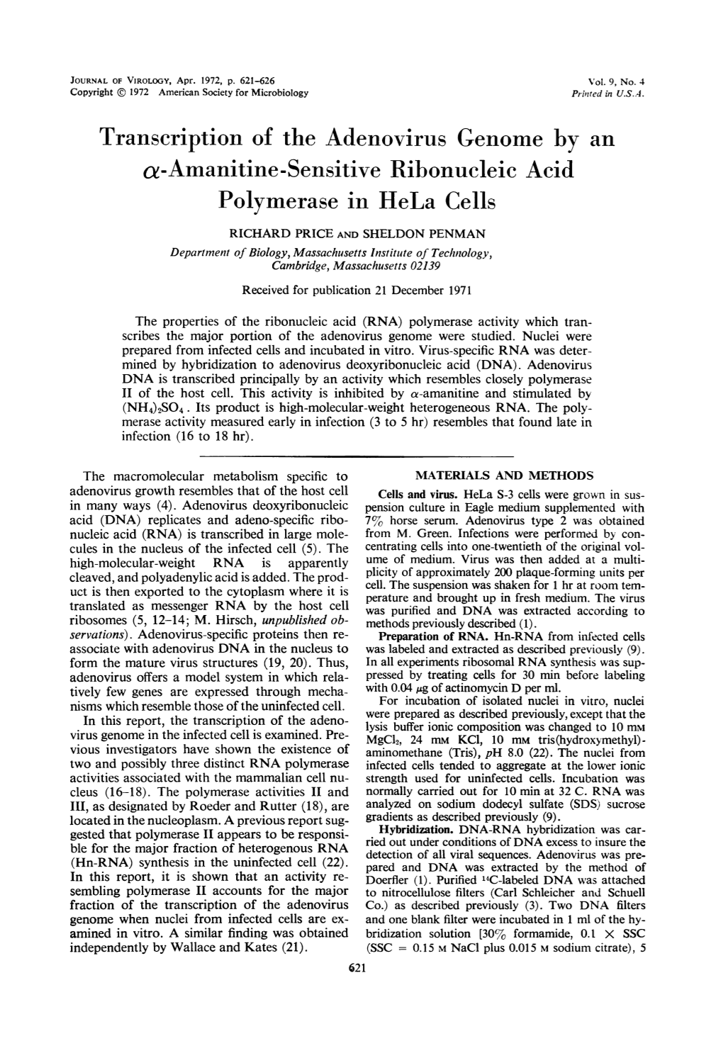 Transcription of the Adenovirus Genome by an A-Amanitine-Sensitive Ribonucleic Acid Polymerase in Hela Cells